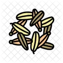 Fennel Seeds Ayurvedic Icon