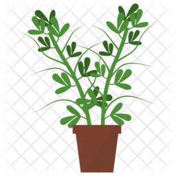 Fenugreek Potted Plant  Icon