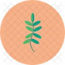 Fern Nature Plant Icon