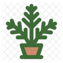 Fern Houseplant Pot Plant Icon
