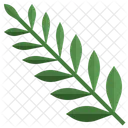 Fern Botanic Plant Icon