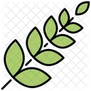 Fern plant  Icon