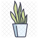 Fern Pot  Icon