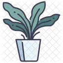 Fern Plants Pot Icon