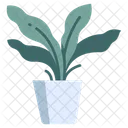 Fern Plants Pot Icon