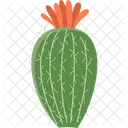 Ferocactus Cactus Succulent Icon