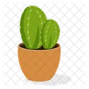 Ferocactus Plant  Icon