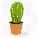 Ferocactus Plant  Icon