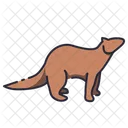 Ferret  Icon