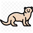 Ferret Mammal Sleek Icon