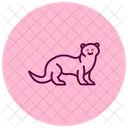 Ferret Icon