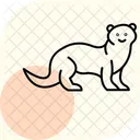 Ferret Icon