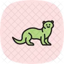 Ferret Icon