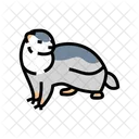 Ferret Playing Pet Icon
