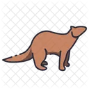 Cartoon Ferret Musang Icon