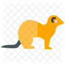 Ferret pet  Icon