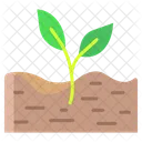 Afretile Soil Plant Soil Icon