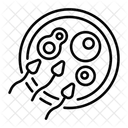 Fecondation Insemination Cellules Reproductrices Icône