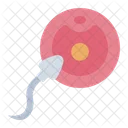 Fertilization Sperm Egg Icon