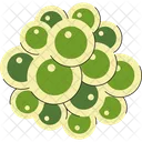 Fertilized Egg Cluster  Icon