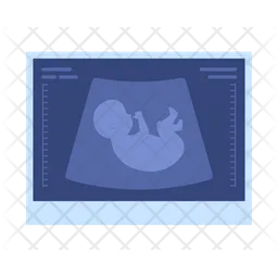 Fetal ultrasound picture  Icon