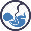 Fetus Embryo Pragnant Icon