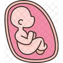 Fetus Womb Baby Icon