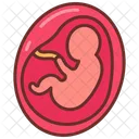 Fetus  Icon