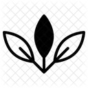 Feuille  Icône