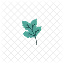 Feuille Vert Vecteur Icône