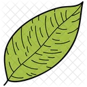 Feuille Festonnee Feuille Feuillage Icon