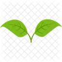 Double Feuille Plante Icon