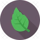 Feuille Agriculture Nature Icon