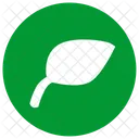 Plante Feuille Icon