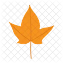 Feuille Automne Nature Icon