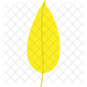 Feuille Automne Nature Icon