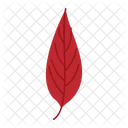 Feuille Automne Nature Icon