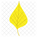 Feuille Automne Nature Icon