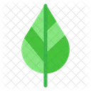 Eco Ecologie Vert Icon