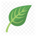 Vert Eco Ecologie Icon