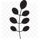 Feuille Dacacia Motif De Feuille Feuilles Vertes Icon