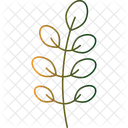 Feuille d'acacia  Icon