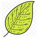 Feuille Darbre Feuille Feuillage Icon