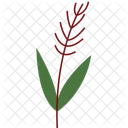 Feuille Darbre Feuille Feuillage Icon