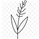 Feuille Darbre Feuille Feuillage Icon