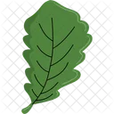 Feuille Vert Nature Icône