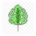 Feuille De Monstera Monstera Feuille Icon