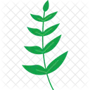 Feuille De Noyer Feuille Noix Icon
