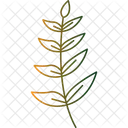 Feuille de noyer  Icon