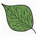 Feuille De Peuplier Feuille Feuillage Icon